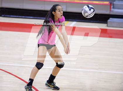 Thumbnail 2 in Helix vs. Vista (CIF SDS D3 Final) photogallery.