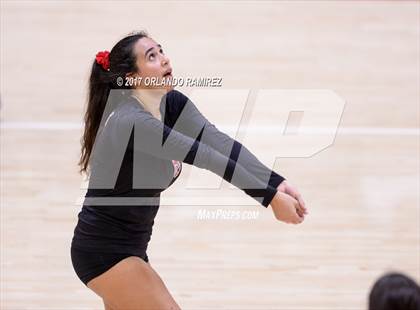 Thumbnail 2 in Helix vs. Vista (CIF SDS D3 Final) photogallery.