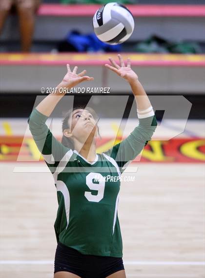 Thumbnail 3 in Helix vs. Vista (CIF SDS D3 Final) photogallery.