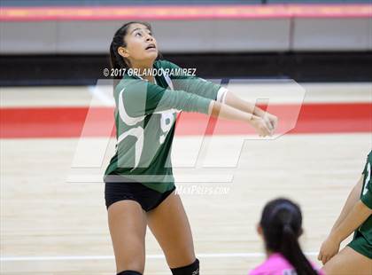 Thumbnail 2 in Helix vs. Vista (CIF SDS D3 Final) photogallery.