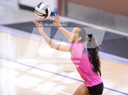 Thumbnail 3 in Helix vs. Vista (CIF SDS D3 Final) photogallery.