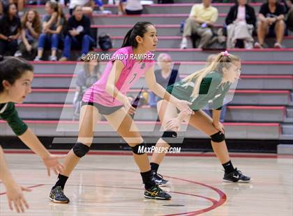 Thumbnail 3 in Helix vs. Vista (CIF SDS D3 Final) photogallery.