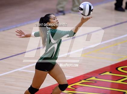 Thumbnail 3 in Helix vs. Vista (CIF SDS D3 Final) photogallery.