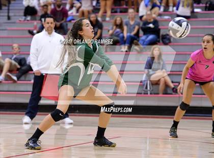 Thumbnail 3 in Helix vs. Vista (CIF SDS D3 Final) photogallery.