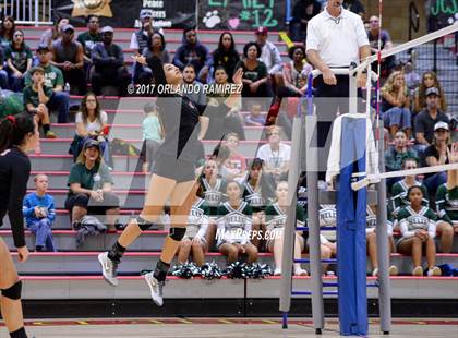 Thumbnail 2 in Helix vs. Vista (CIF SDS D3 Final) photogallery.
