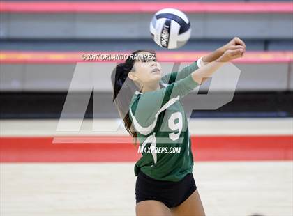 Thumbnail 3 in Helix vs. Vista (CIF SDS D3 Final) photogallery.