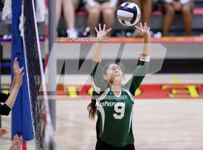Thumbnail 1 in Helix vs. Vista (CIF SDS D3 Final) photogallery.