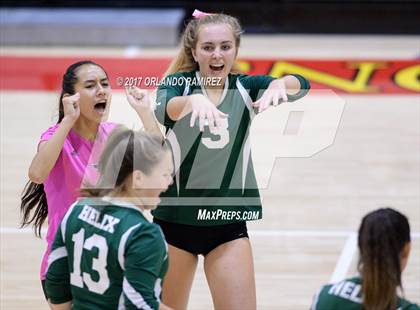 Thumbnail 1 in Helix vs. Vista (CIF SDS D3 Final) photogallery.