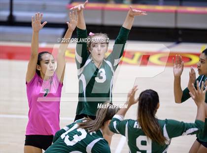 Thumbnail 3 in Helix vs. Vista (CIF SDS D3 Final) photogallery.