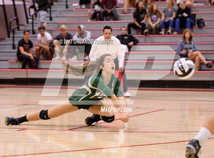 Thumbnail 1 in Helix vs. Vista (CIF SDS D3 Final) photogallery.