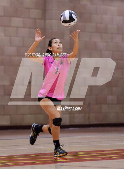 Thumbnail 2 in Helix vs. Vista (CIF SDS D3 Final) photogallery.