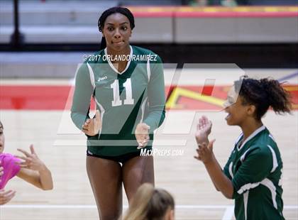 Thumbnail 1 in Helix vs. Vista (CIF SDS D3 Final) photogallery.