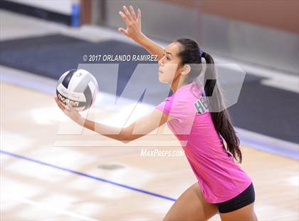 Thumbnail 2 in Helix vs. Vista (CIF SDS D3 Final) photogallery.