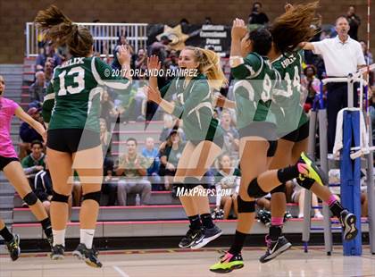 Thumbnail 2 in Helix vs. Vista (CIF SDS D3 Final) photogallery.