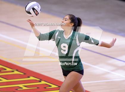 Thumbnail 2 in Helix vs. Vista (CIF SDS D3 Final) photogallery.