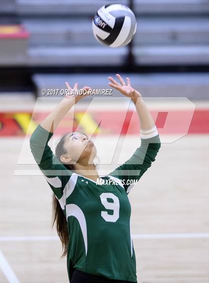 Thumbnail 3 in Helix vs. Vista (CIF SDS D3 Final) photogallery.