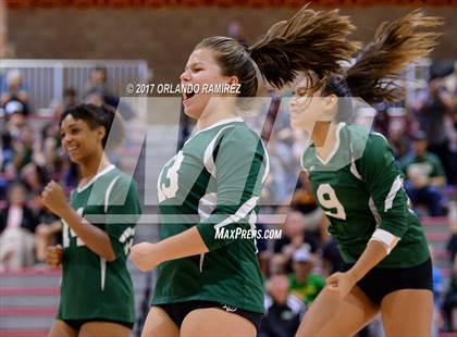 Thumbnail 2 in Helix vs. Vista (CIF SDS D3 Final) photogallery.