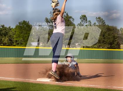 Thumbnail 3 in Collierville @ Arlington photogallery.