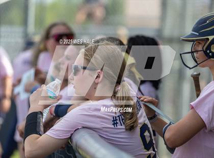 Thumbnail 3 in Collierville @ Arlington photogallery.