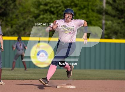 Thumbnail 3 in Collierville @ Arlington photogallery.