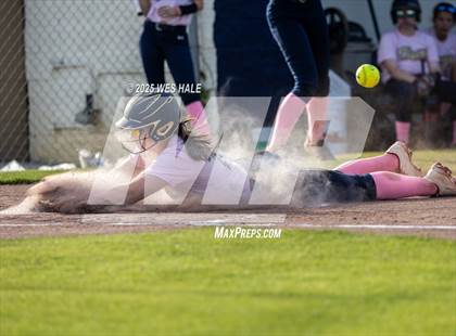 Thumbnail 3 in Collierville @ Arlington photogallery.