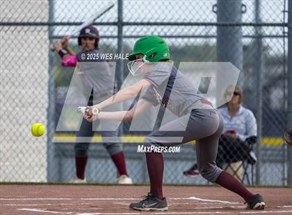 Thumbnail 3 in Collierville @ Arlington photogallery.