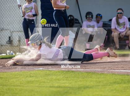 Thumbnail 2 in Collierville @ Arlington photogallery.