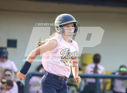 Thumbnail 2 in Collierville @ Arlington photogallery.