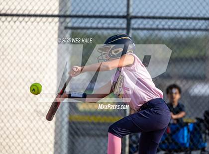 Thumbnail 2 in Collierville @ Arlington photogallery.