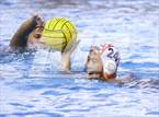 Photo from the gallery "Brandeis vs. Clark"