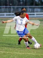 Photo from the gallery "Seventy-First @ Scotland"