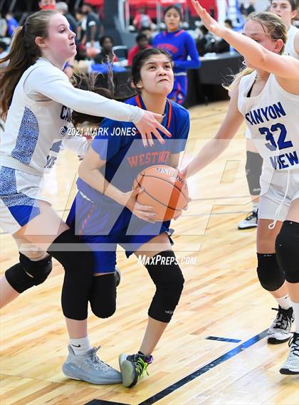 Thumbnail 1 in Westwood vs. Canyon View - Section 7 Basketball Tournament photogallery.