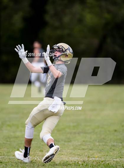 Thumbnail 1 in Perrin-Whitt @ Ranger photogallery.
