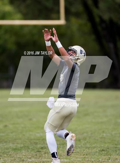 Thumbnail 3 in Perrin-Whitt @ Ranger photogallery.