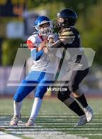 Photo from the gallery "Analy @ Windsor"