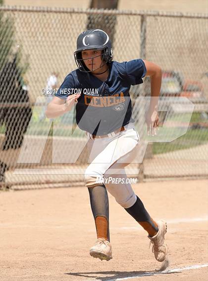 Thumbnail 2 in Cienega vs. Amador Valley (Michelle Carew Classic) photogallery.