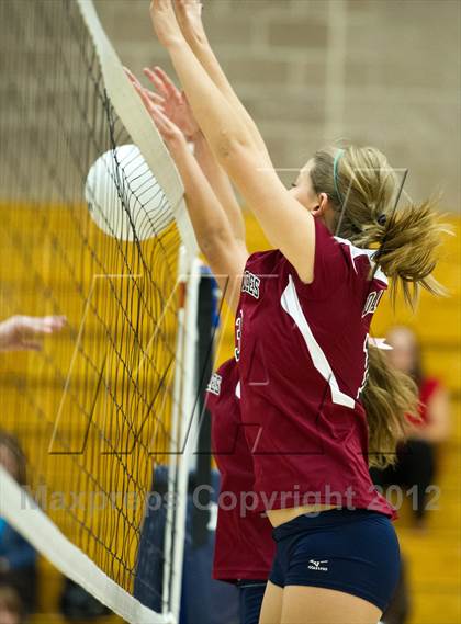 Thumbnail 3 in Pomona @ Dakota Ridge photogallery.