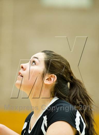 null - Photo 21