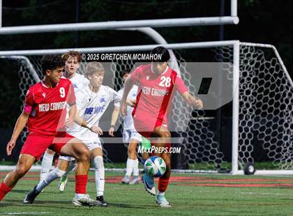 Thumbnail 3 in Darien @ New Canaan photogallery.