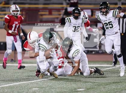 Thumbnail 1 in Monterey Trail @ McClatchy photogallery.