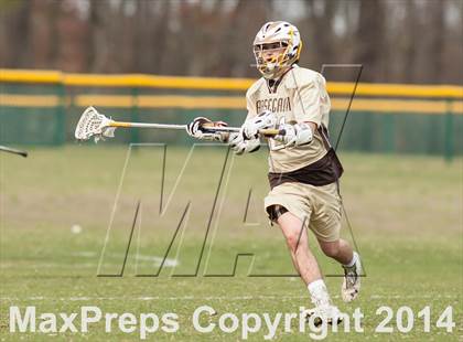 Thumbnail 2 in Lower Cape May @ Absegami photogallery.