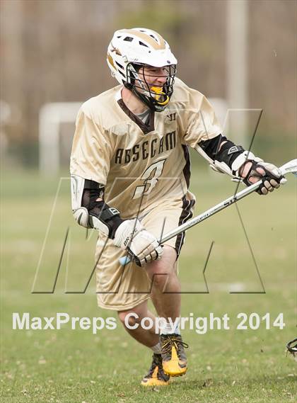 Thumbnail 2 in Lower Cape May @ Absegami photogallery.
