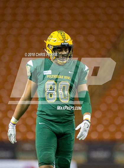 Thumbnail 1 in Polynesian Bowl  photogallery.