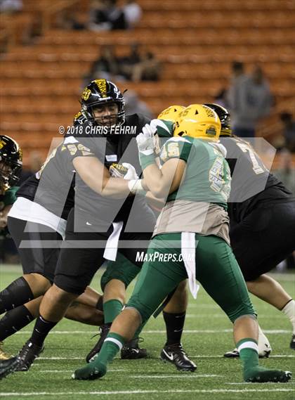 Thumbnail 1 in Polynesian Bowl  photogallery.