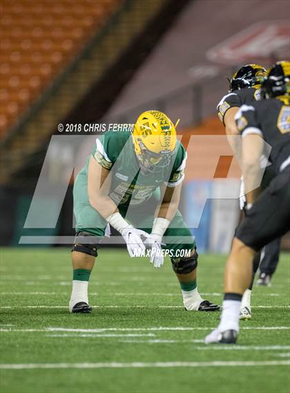 Thumbnail 1 in Polynesian Bowl  photogallery.