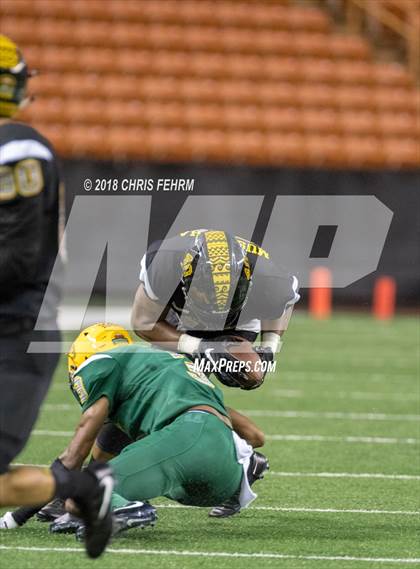 Thumbnail 2 in Polynesian Bowl  photogallery.