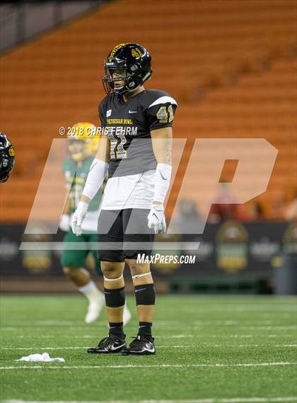 Thumbnail 2 in Polynesian Bowl  photogallery.