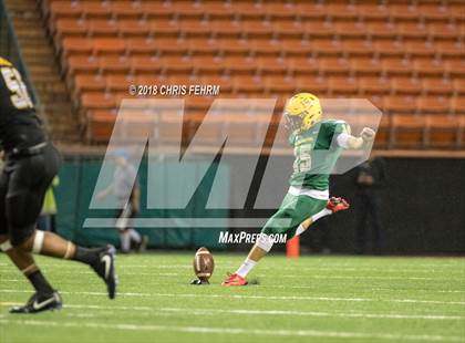 Thumbnail 3 in Polynesian Bowl  photogallery.