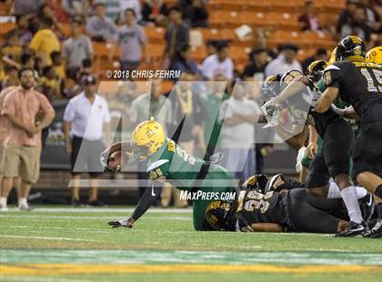 Thumbnail 2 in Polynesian Bowl  photogallery.