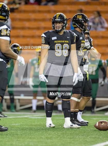 Thumbnail 2 in Polynesian Bowl  photogallery.